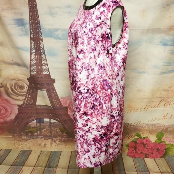 🍬 ➕ Lark & Ro sleeveless dress - Picture 4 of 7